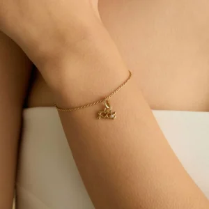 Aquarius Zodiac Talisman Charm in Gold