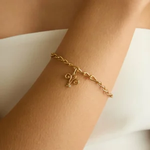 Aries Zodiac Talisman Charm in Gold