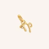 Capricorn Zodiac Talisman Charm in Gold