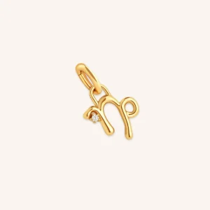 Capricorn Zodiac Talisman Charm in Gold