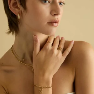 Capricorn Zodiac Talisman Charm in Gold