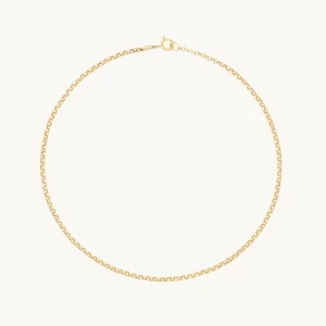 Chelsea Chain Anklet in Solid Gold