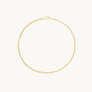 Chelsea Chain Bracelet in Solid Gold