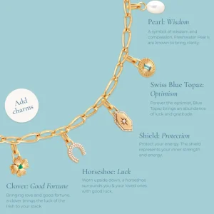 Clover Talisman Charm in Silver