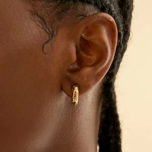 Cosmic Dome Small Hoops in Brushed Gold