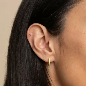 Dolphin Piercing Stud in Solid Gold
