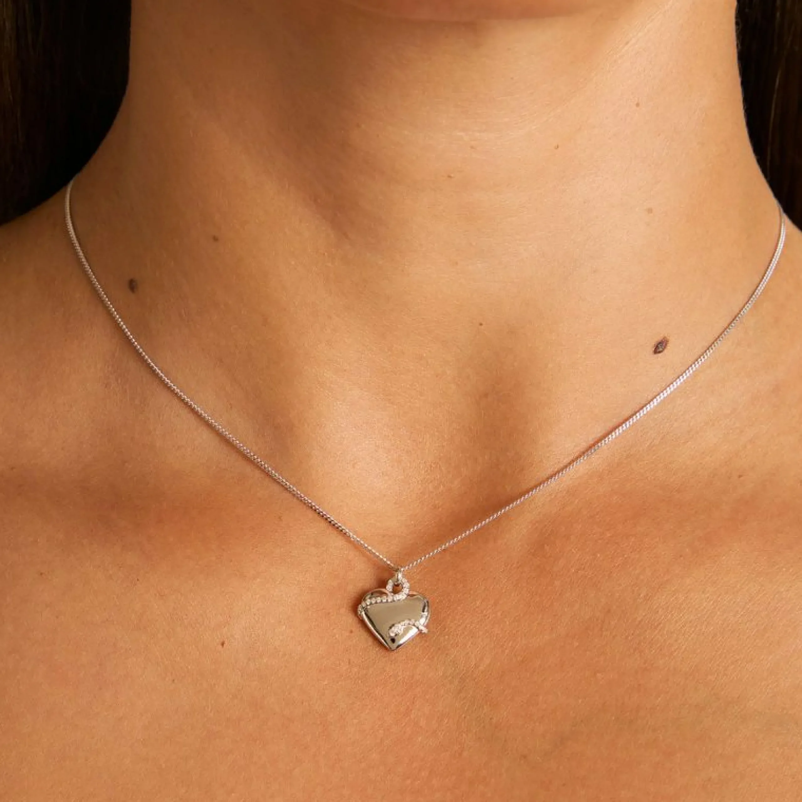 heart_amp_snake_pendant_n_1-1.webp Heart & Snake Pendant Necklace in Silver
