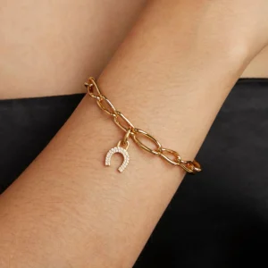 Horseshoe Talisman Charm in Gold