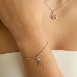 Leo Zodiac Talisman Charm in Silver