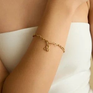 Leo Zodiac Talisman Charm in Gold