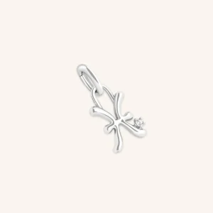 Pisces Zodiac Talisman Charm in Silver