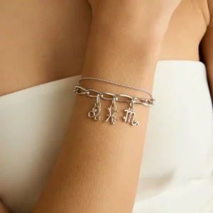 Pisces Zodiac Talisman Charm in Silver
