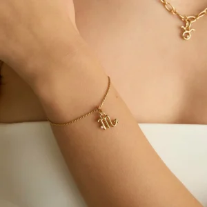 Scorpio Zodiac Talisman Charm in Gold