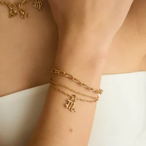 Scorpio Zodiac Talisman Charm in Gold