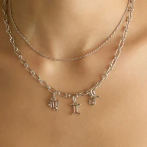 Taurus Zodiac Talisman Charm in Silver